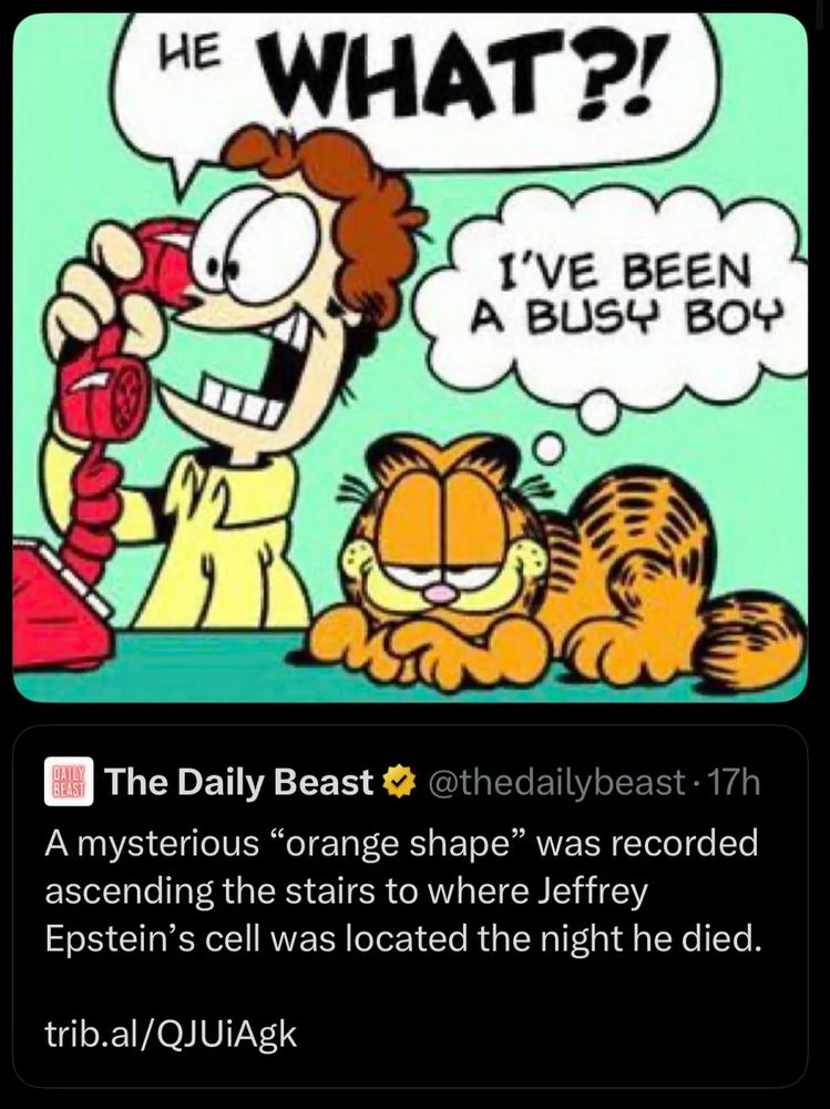 Jon and Garfield. Jon is on the phone shouting "HE DID WHAT!?" while Garfield is thinking "I've been a busy boy."

Below that is a headline about a "mysterious orange shape" seen ascending the stairs to Jeffrey Epstein's cell the night he died.