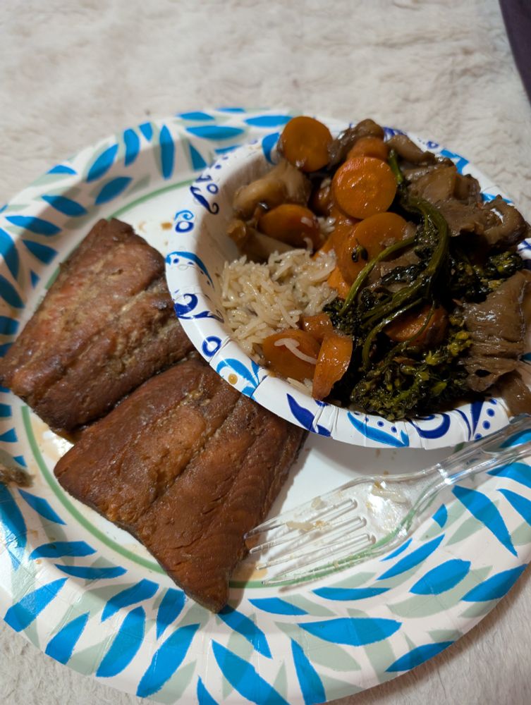 Sockeye salmon marinated in soy sauce, honey and various other things along with veggies soaked and cooked in the same sauce on top of rice.