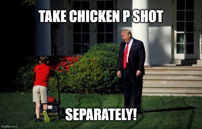 Trump yelling at kid mowing the lawn saying, "Take Chicken P Shot Separately!"