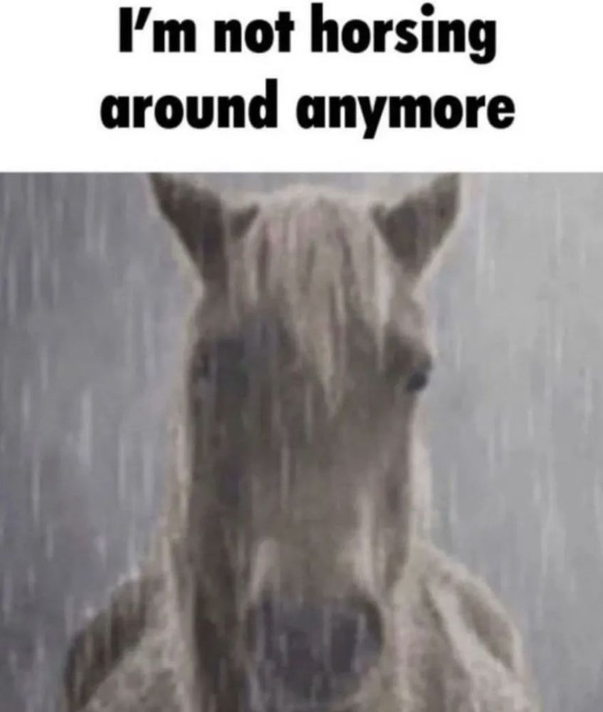 sad horse in rain with the caption “i’m not horsing around anymore”