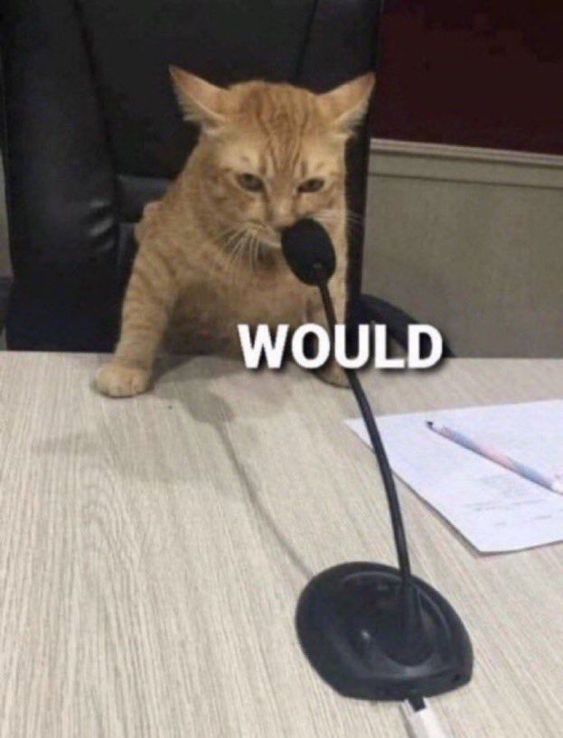 Cat saying "would" into a microphone 