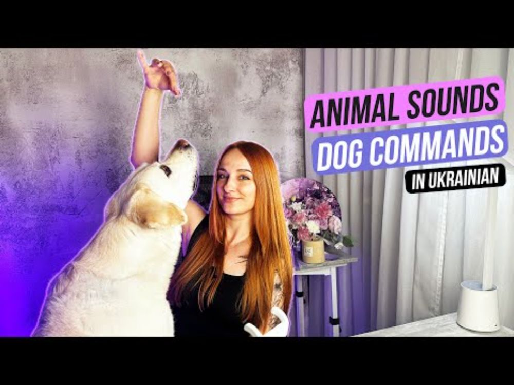 Ukrainian for Pet Lovers: Animal Sounds & Dog Commands 🐾