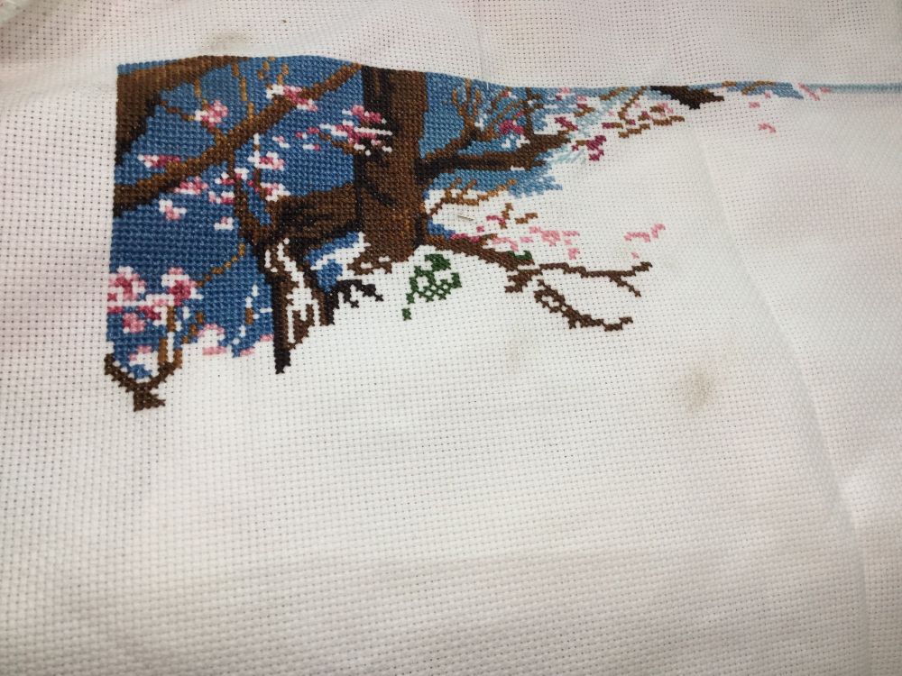 Some tree branches and cherry blossoms against a blue sky