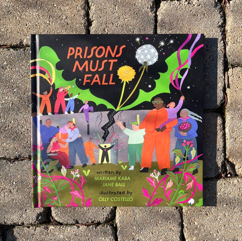 Prisons Must Fall book cover
