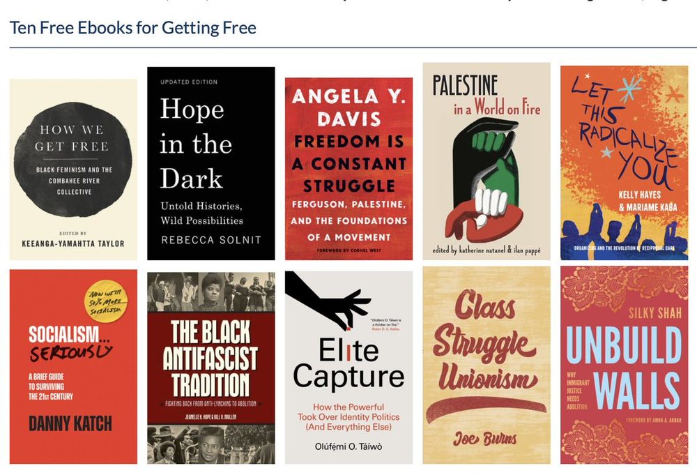 Ten book covers: How We Get Free, Hope in the Dark, Freedom is a Constant Struggle, Palestine in a World on Fire, Let This Radicalize you, Socialism... Seriously, The Black Antifascist Tradition, Elite Capture, Class Struggle Unionism, and Unbuild Walls. More details at the included link.