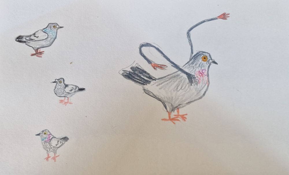 Three little sketches of pigeons and one big pigeons with arms