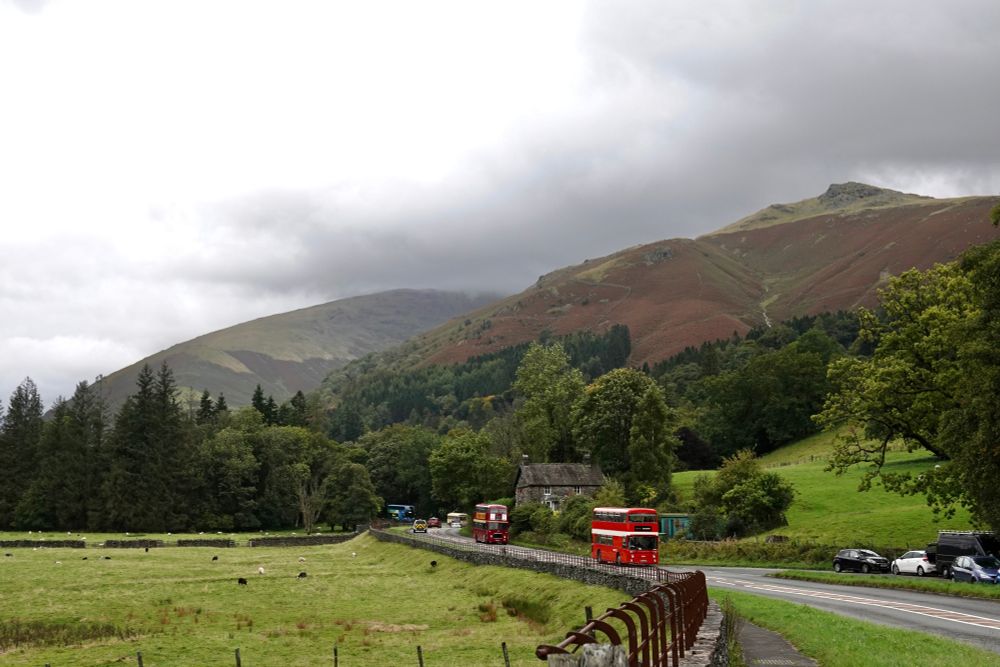 vintage buses spread out driving down A591 south through Grasmere, with grey cloud above the browning fells 