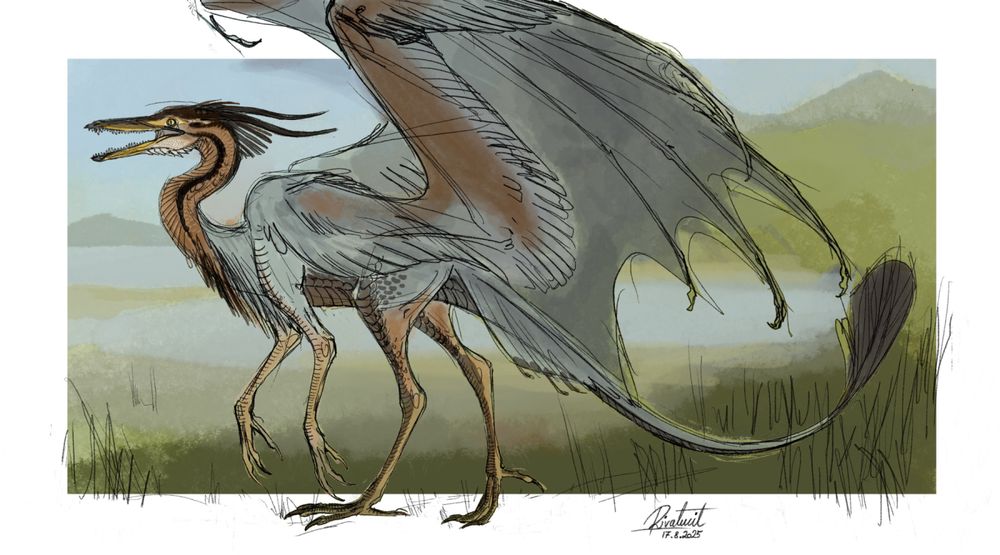 smaugust
