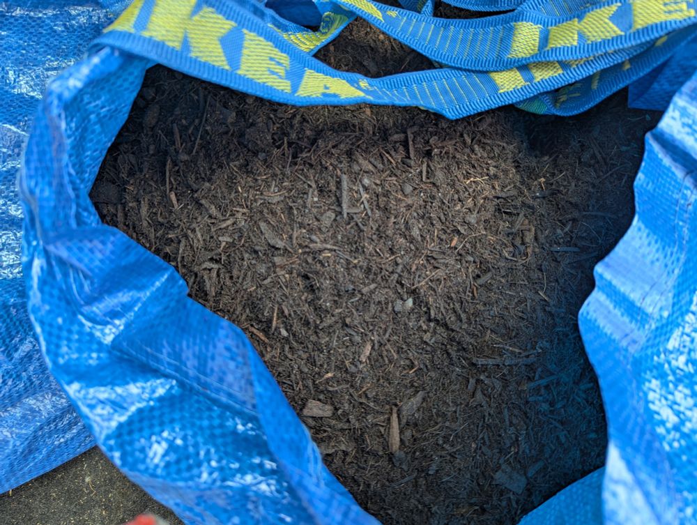 a close-up of the mulch I put in an IKEA bag. the mulch is neither chunky nor fine. great for flower beds
