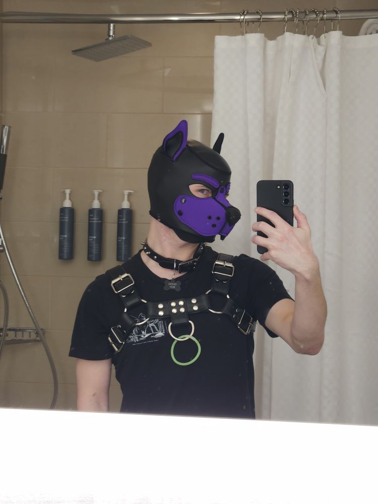 Bathroom selfie of me in a pup hood
