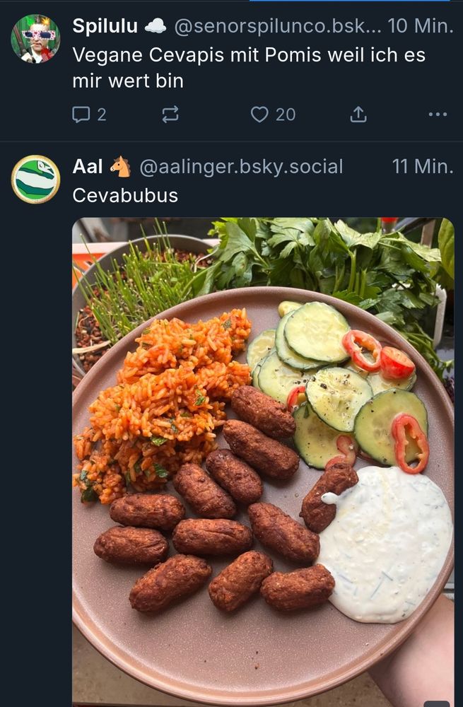 Bild mit veganen Cewapcicis des einen Users unter Post des anderen users in welchem er veganen Cewapcicis frönt 