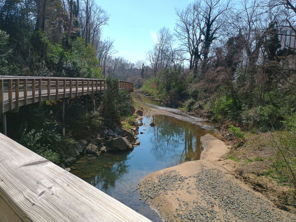 Picture of an elevated section of trail over the creek