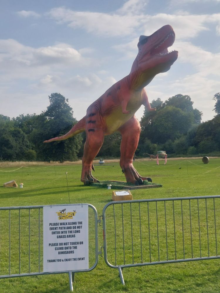 Dinosaur 