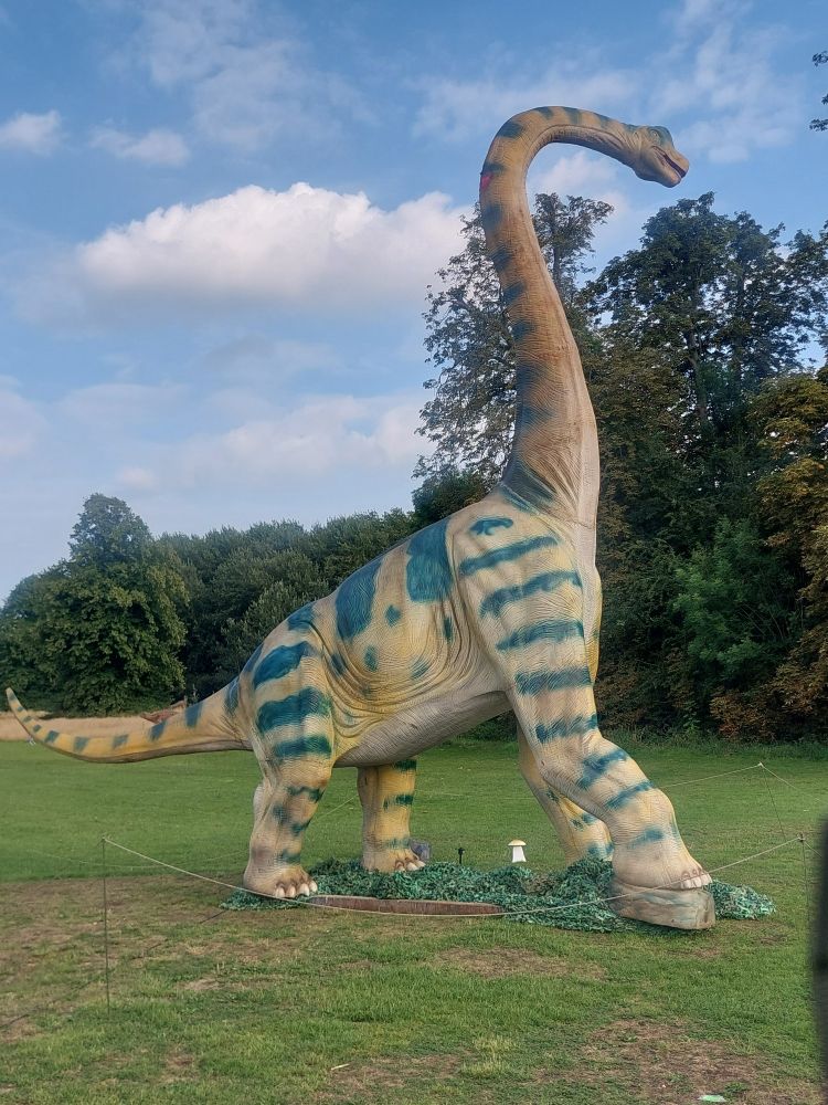 Dinosaur