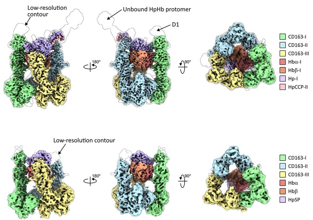 PLOS Biology: 