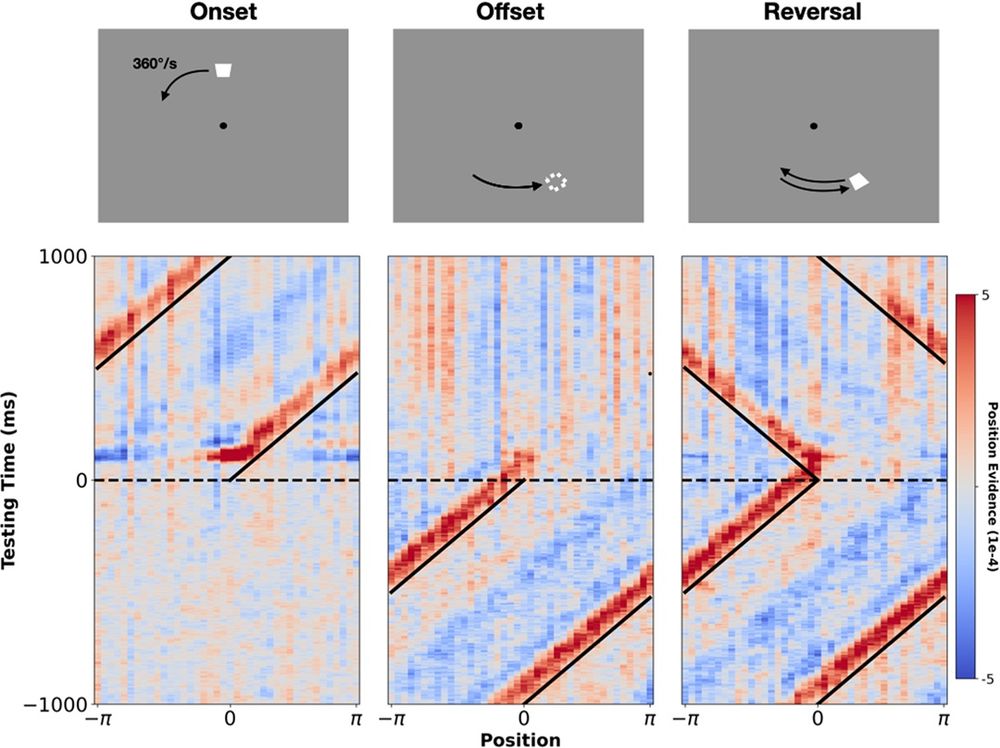 Mapping the position of moving stimuli. The top three panels show the three events of interest: stimulus onset, stimulus offset, and stimulus reversal (left to right). The bottom three panels show group-level probabilistic spatio-temporal maps centered around these three events. Diagonal black lines mark the true position of the stimulus. Horizontal dashed lines mark the time of the event of interest (stimulus onset, offset, or reversal). Red indicates high probability regions and blue indicates low probability regions (‘position evidence’ gives the difference between the posterior probability and chance). Note: these maps were generated from recordings at posterior/occipital sites.
