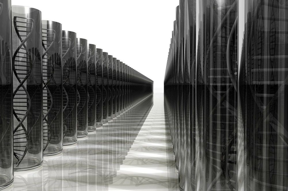 The image depicts two rows of tall glass cylinders containing DNA double helix structures, arranged to form a symmetrical, reflective corridor that extends into the distance. Image by PublicDomainPictures from Pixabay