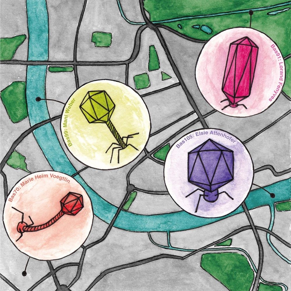 A fanciful depiction of BASEL phages on a roadmap. Credit: Fabienne Estermann