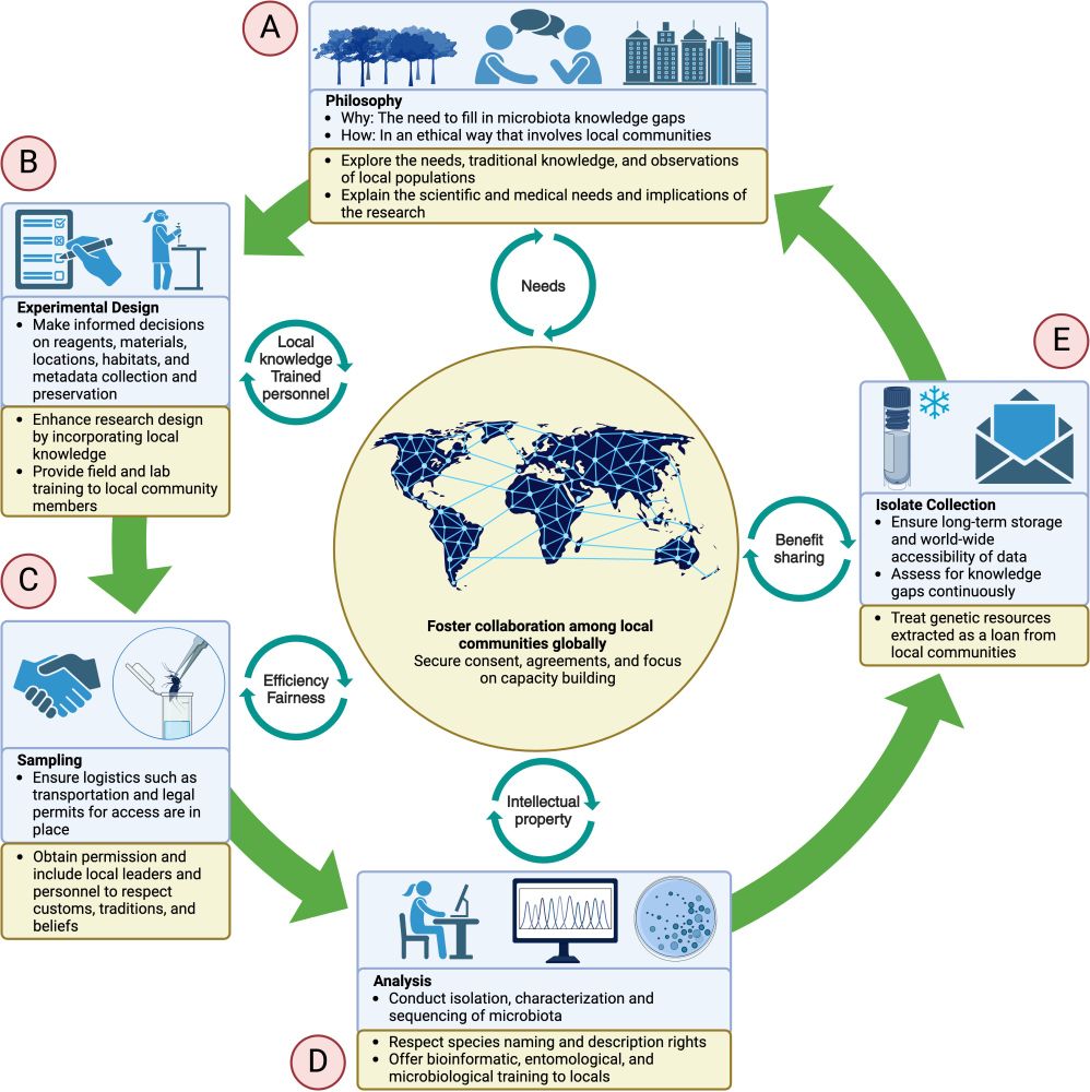 A diagram showing the critical considerations for the establishment and expansion of microbiota isolate collections, including philosophy, experimental design, sampling, analysis, and isolate collection.