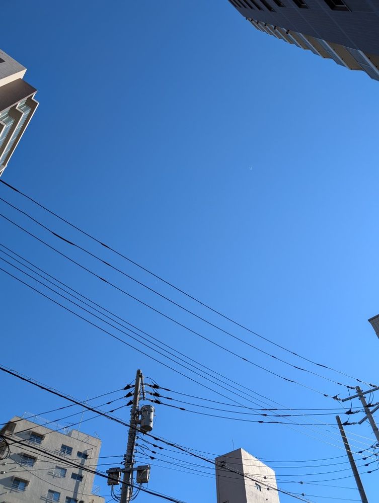 自宅付近の雲一つない青空の様子