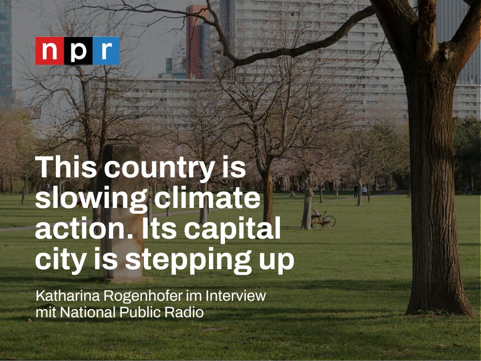 Bild von Park mit grüner Wiese und Bäumen, mehrstöckige Gebäude im Hintergrund. Links oben Logo des US-Radiosenders NPR. Weißer Text: This counttry is slowing climate action. Its capital city is stepping up – Katharina Rogenhofer im Interview mit National Public Radio.  