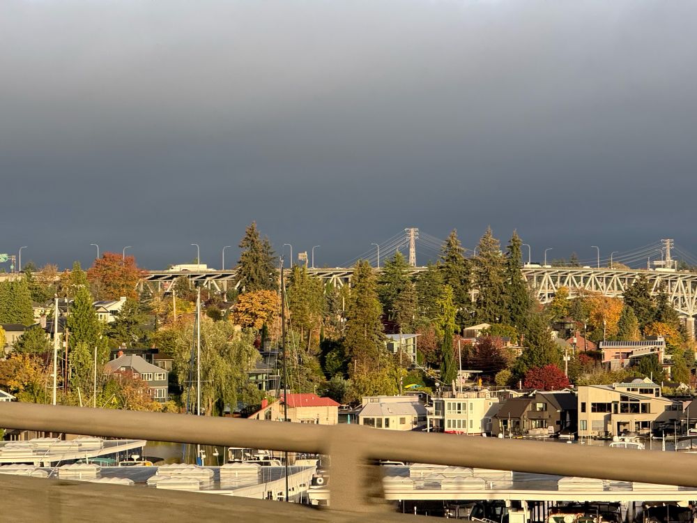 Description generated by AI: A scenic view of a marina with boats docked in the foreground, surrounded by a neighborhood with houses nestled among trees in autumn colors. A bridge stretches across the background, partially illuminated by sunlight breaking through dark clouds, creating a contrast between the bright landscape and the stormy sky.