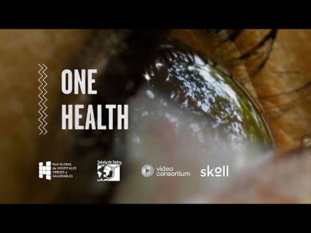 This Hospital is Transforming the Environment | #SolutionsInsideOut | Health Care Without Harm