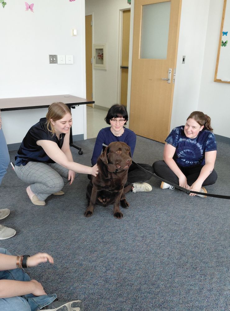 teddy the comfort dog sitting with fac staff and students
