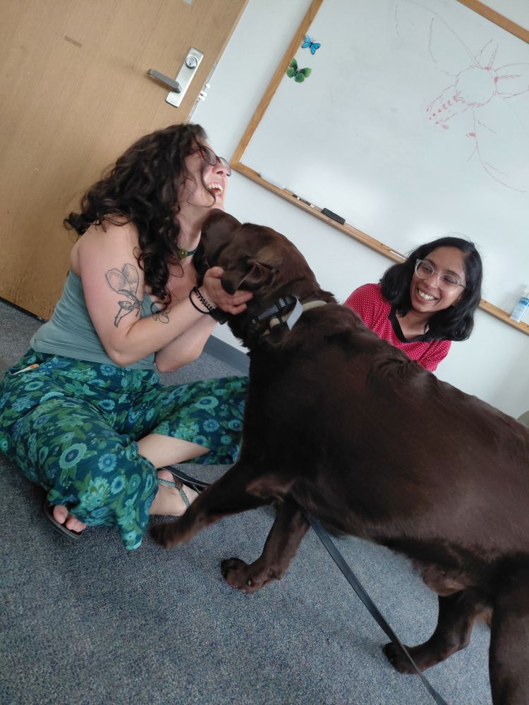 teddy the comfort dog giving kisses to student