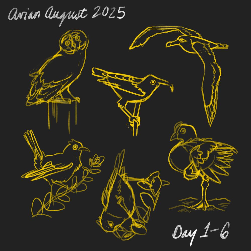 Avian August 2025 Day 1-6.

A series of Hawaiian birds sketched in yellow on a dark background - standing, sitting, flying and stretching.