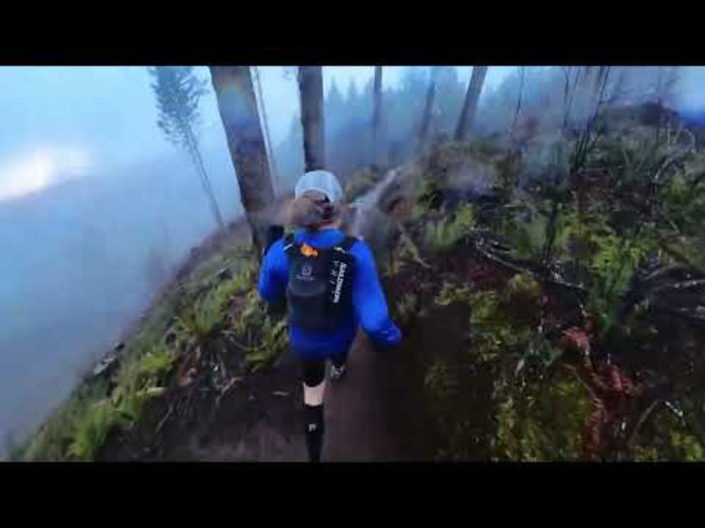 Run in McDonald Forest, January 12 2025