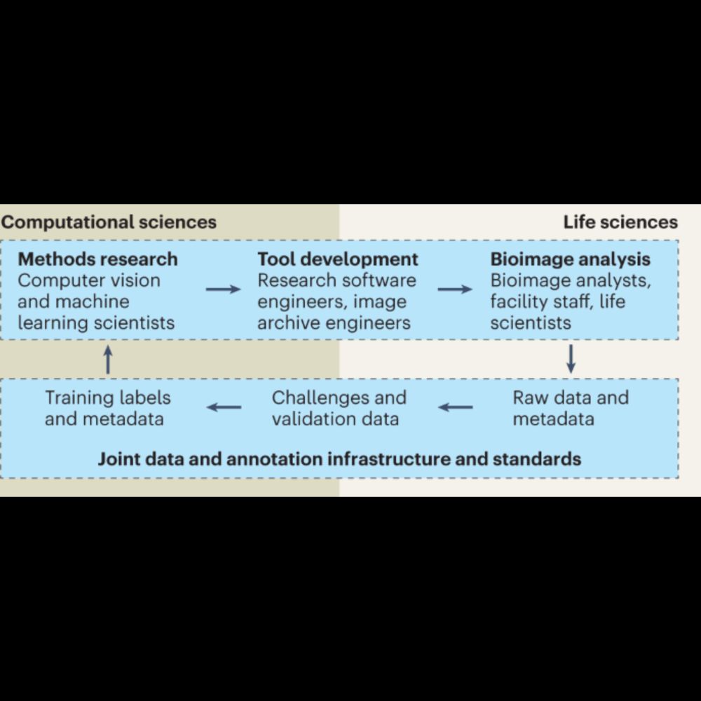 Using AI in bioimage analysis to elevate the rate of scientific discovery as a community - Nature Me...