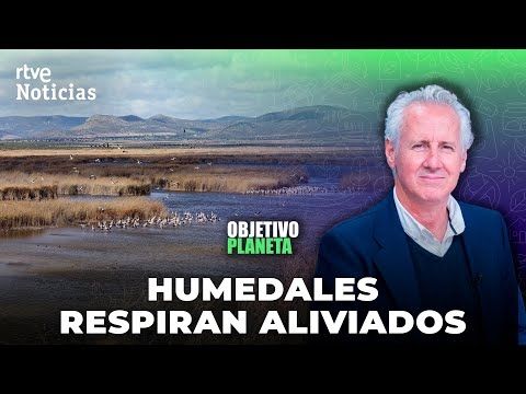 OBJETIVO PLANETA: AUMENTA el NIVEL de AGUA en DOÑANA, LA JANDA o LAS TABLAS DE DAMIEL