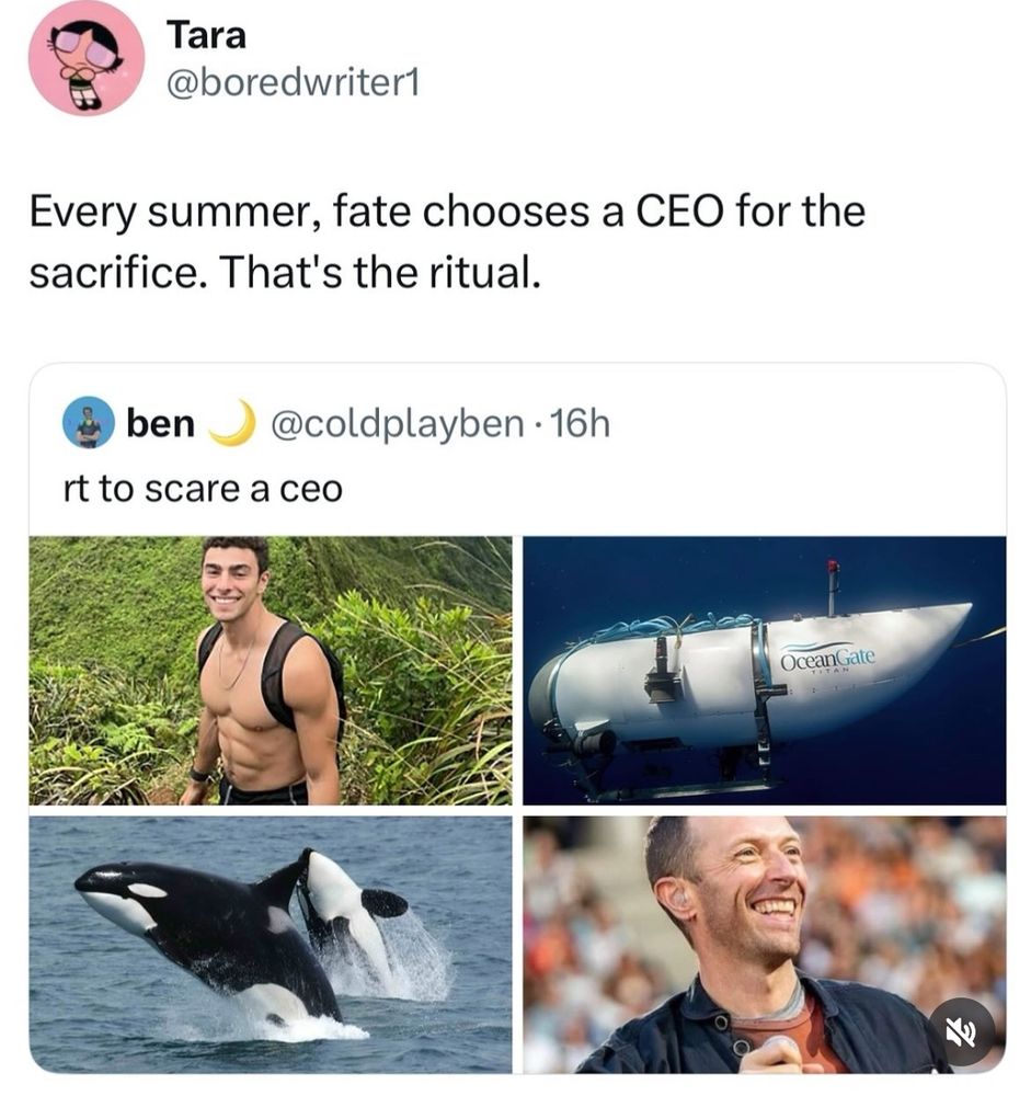 Pantallazo de un tweet que reza "RT to scare a CEO" y sale las fotos de: Luigi Mangione, del submarino que reventó lleno de ricos que querían ver el Titanic, de las orcas que embestía yates y del vocalista de Coldplay que ha destapado la infidelidad de un ricachón en pleno concierto. El tweet está citado y dice "every summer fate chooses a CEO for the sacrifice, that's the ritual"