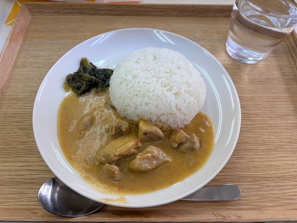 白いお皿に鶏肉がごろごろと入ったシチューとご飯、全く見た目はカレーと同じなんだ