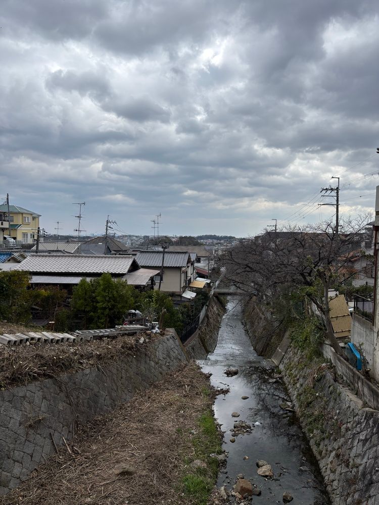 曇天の下、手前中央から奥へ石澄川の流れ、その向こう大阪方面の地平線にぽっこりとした林が見える。そこが待兼山、今は大阪大学がある。