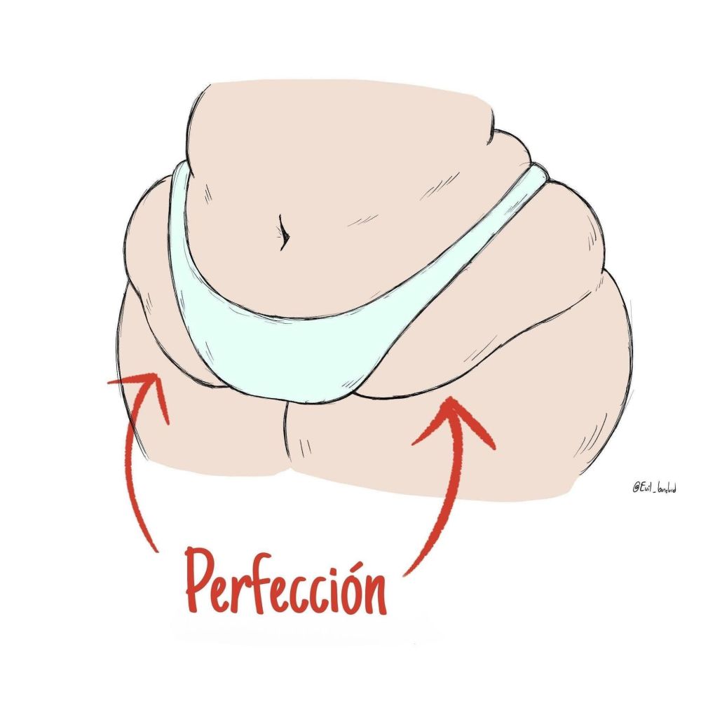 A curvy lower body featuring a thick tummy poking out of the lower part of a white thong. The word perfección with red arrows pointing at the tummy folds is written below. The background is white. The artist credit is @evil_lanbid 