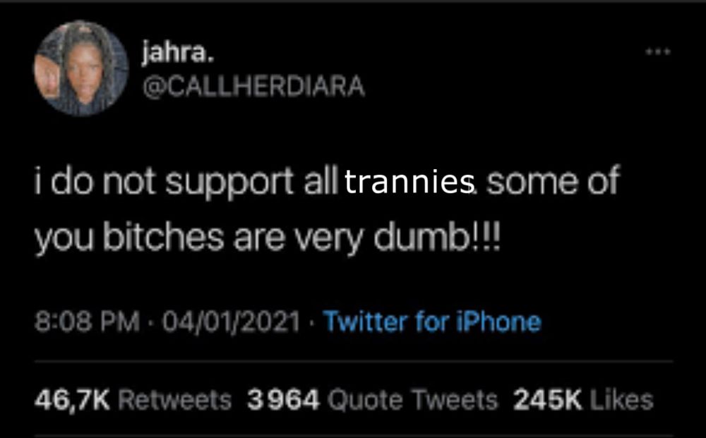 twitter copy post that reads “i do not support all trannies some of you bitches are very dumb!!”