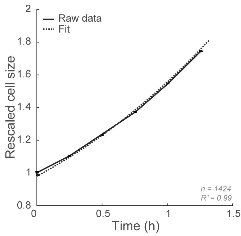 Plot of cell size over time, fit to an equation that links cell size to mitochondrial activity.