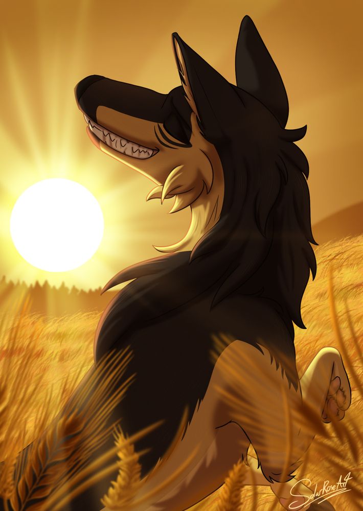 A portrait of Nimbus, a gold and black wolf jumping in the middle of a wheatfield at sunset, eyes closed and smiling wide. ☀️