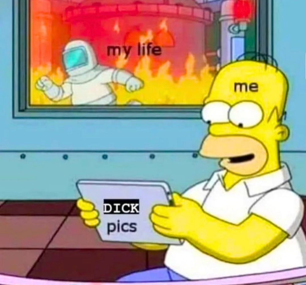 Meme of Homer Simpson looking happily at an iPad with the room behind him on fire. Room on fire is labeled MY LIFE. Home is labeled ME. iPad is labeled DICK PICS