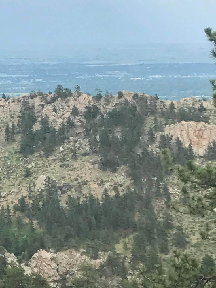 A mountain vista with pine trees
