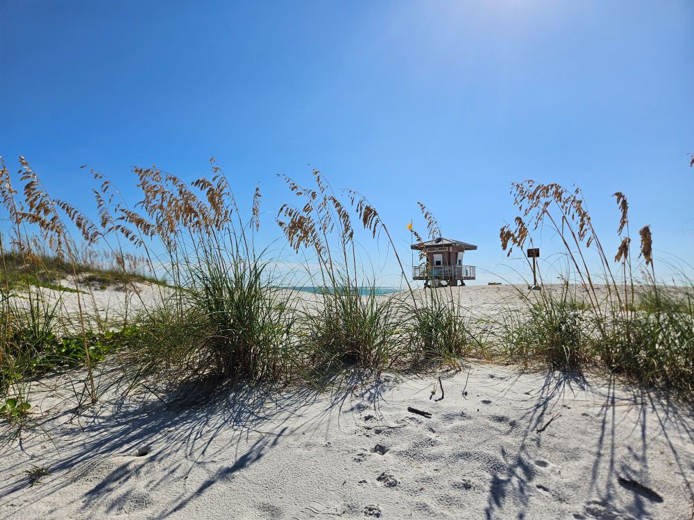 A lifeguard tower on a beach with plants in the foreground and a glimpse of the gulf water past the same in the background