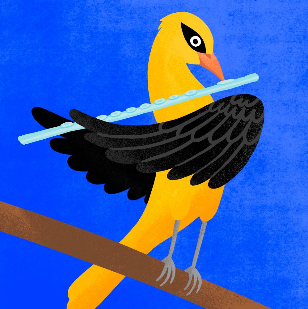 ilustrace žluvy hajní která hraje na příčnou flétnu vytvořená v Procreate