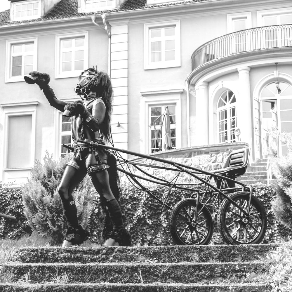 Human wearing a kinky black horse costume hitched to a sulky and standing in front of a nice old representative building