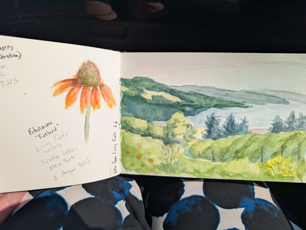 Two watercolor plein air sketches in a small sketchbook. One is of an orange "Firebird" coneflower, and one is a landscape of hills around a lake with a winery in the foreground.