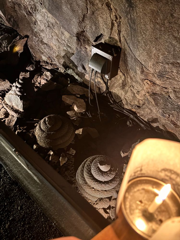 うんち！うんち！