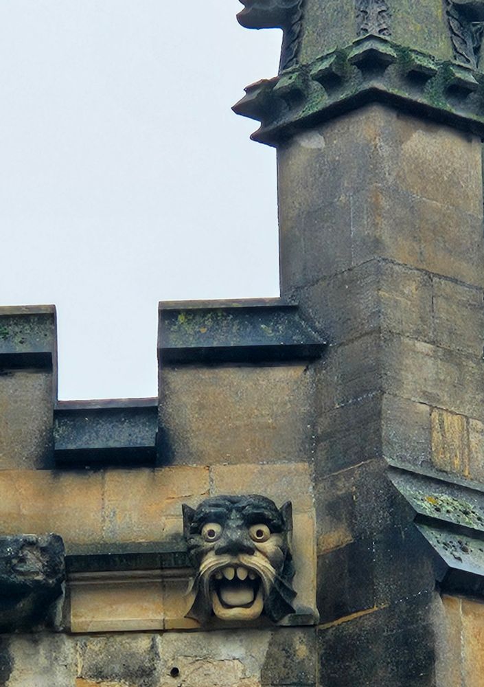 Wet stone grotesque carving at the top of the Foinder's Tower.  A shocked demon  with a 70s style moustache and googly eyes, gaping. His teeth are in good shape.