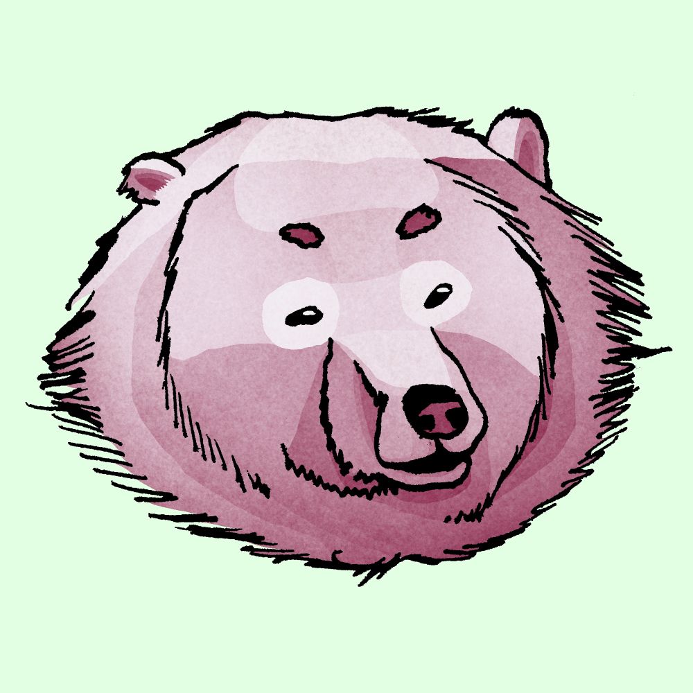 Reddish/Pink watercolor drawing of a bear