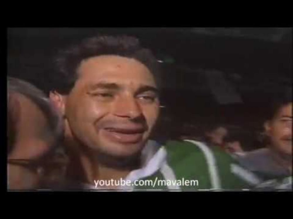 Palmeiras Campeão Paulista 1993 - Reportagem JN